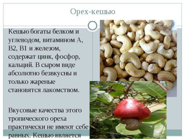 Чем полезен кешью