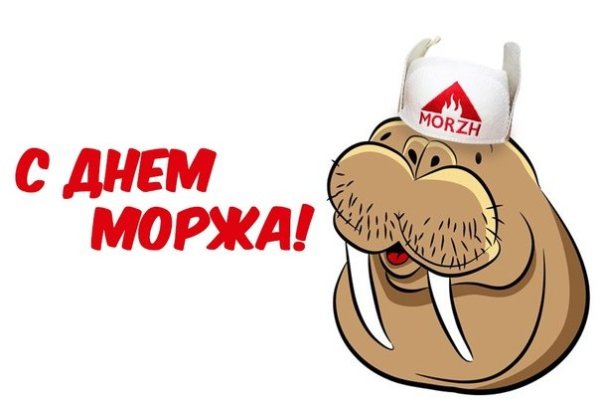 Поздравления с днём рождения моржа