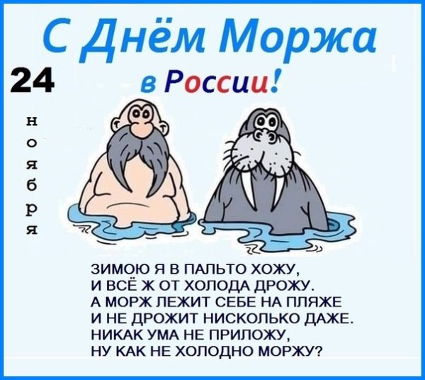 Когда день моржа в 2022 году в России Дата число