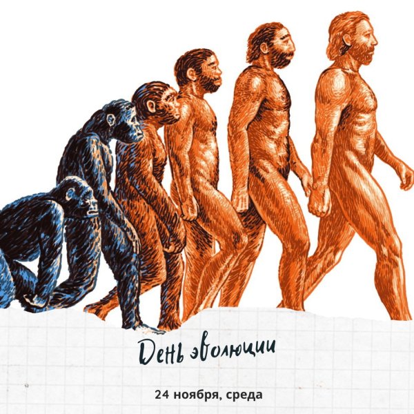 День эволюции