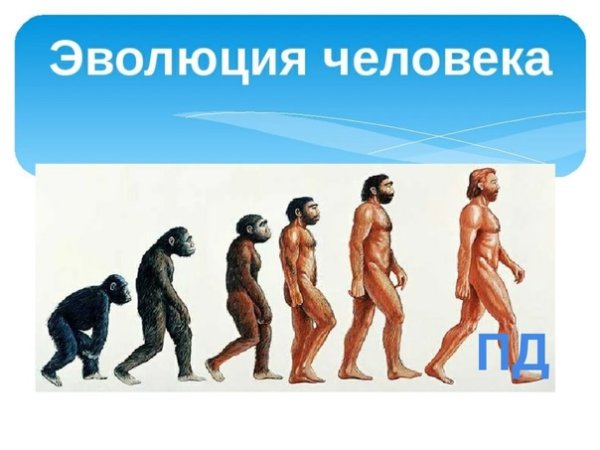 Эволюция человека в России