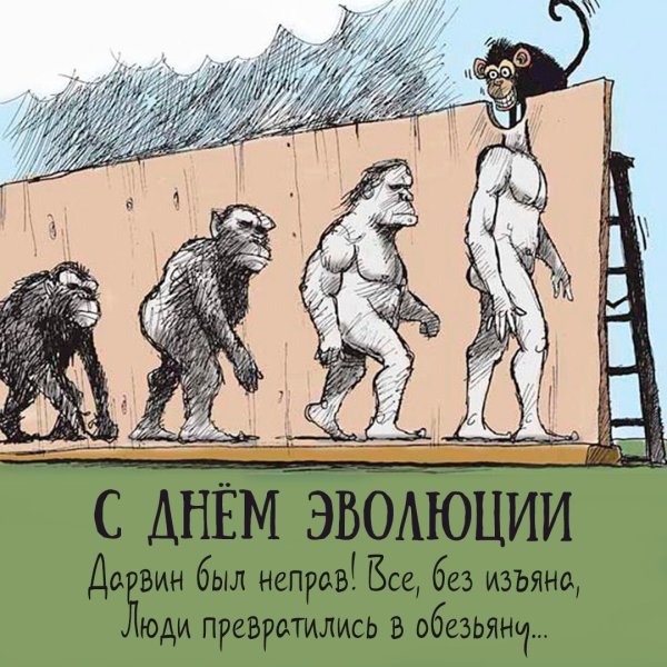 Открытка 24 ноября день эволюции