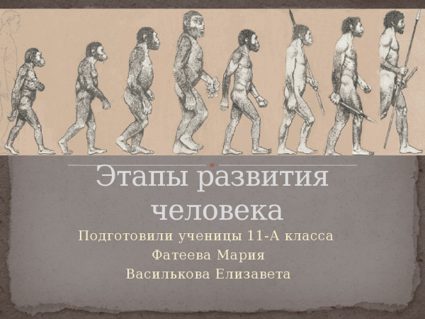 Этапы развития человека