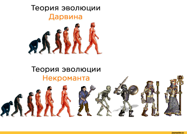 Эволюция Мем