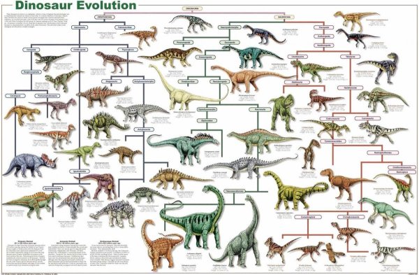 Эволюция динозавров