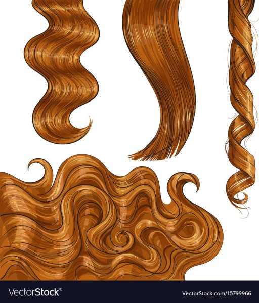 Кудрявые волосы вектор