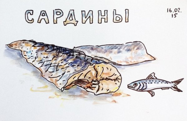 День сардин 24 ноября