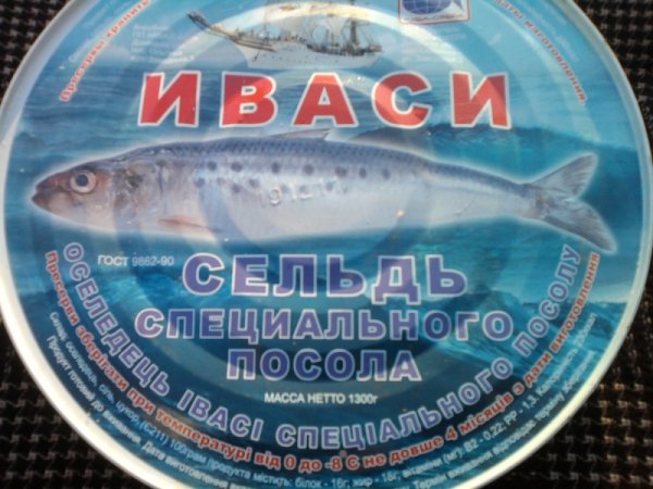 Сельдь Иваси консервы СССР