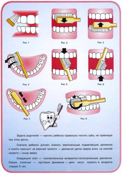 Про зубы для детей дошкольного возраста
