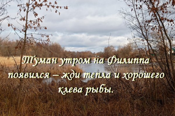 Бабьи засидки