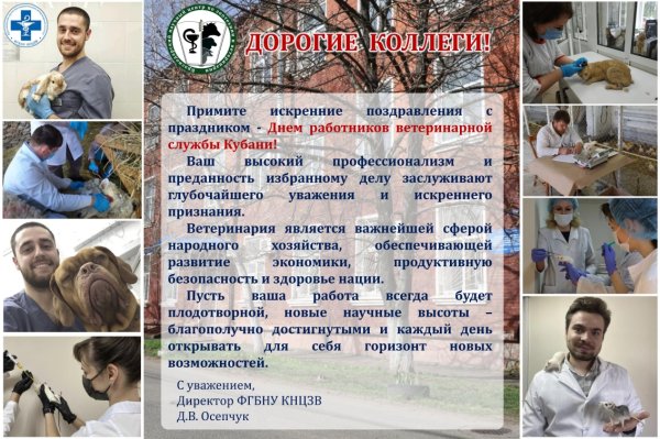 День ветеринарного работника Кубани фото