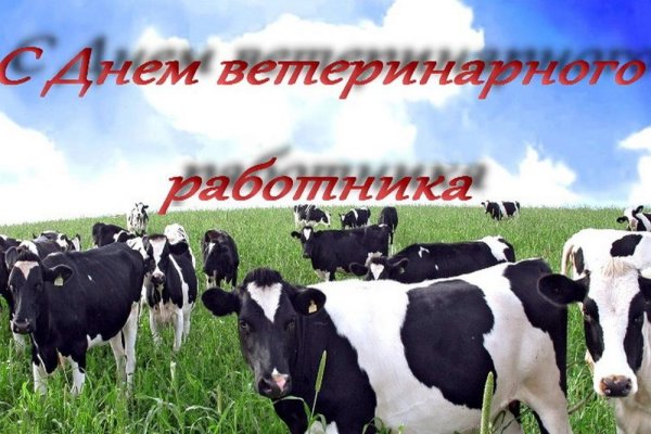 День работника ветеринарной службы