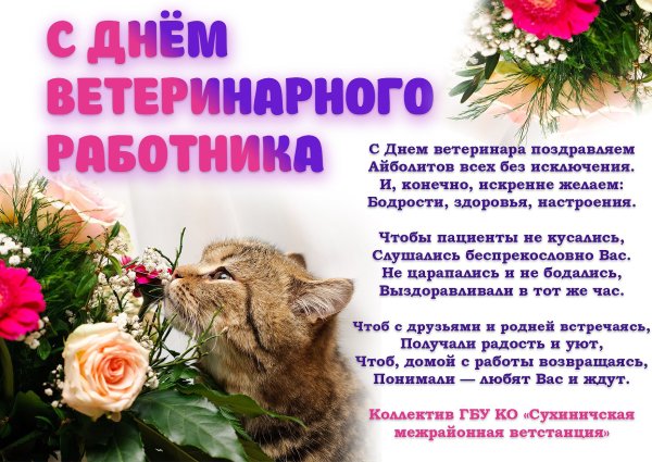С днем ветеринарного работника коллегам