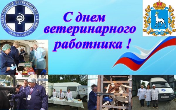 День работника ветеринарной службы