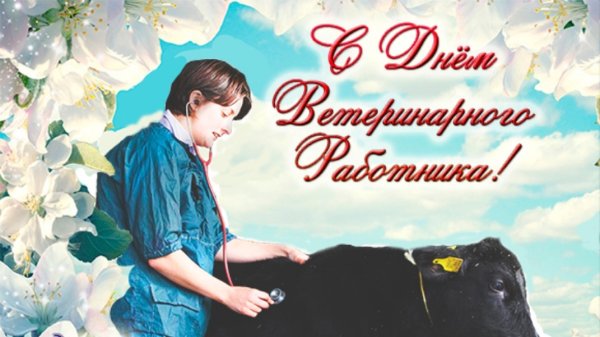 С днем ветеринара