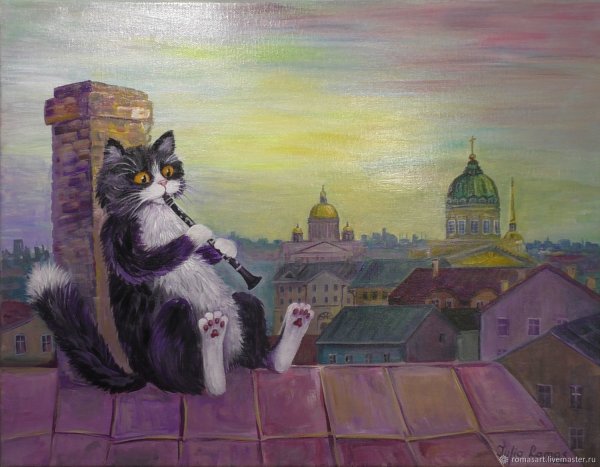 Кот на крыше