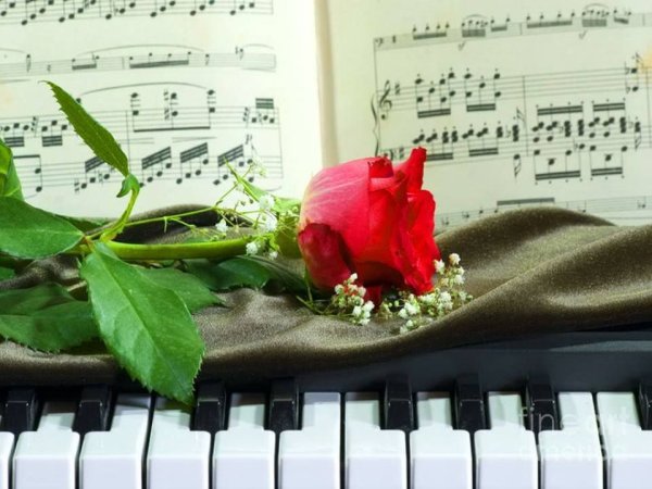 Музыкальный цветок