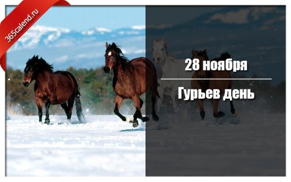 Гурьев день 28 ноября
