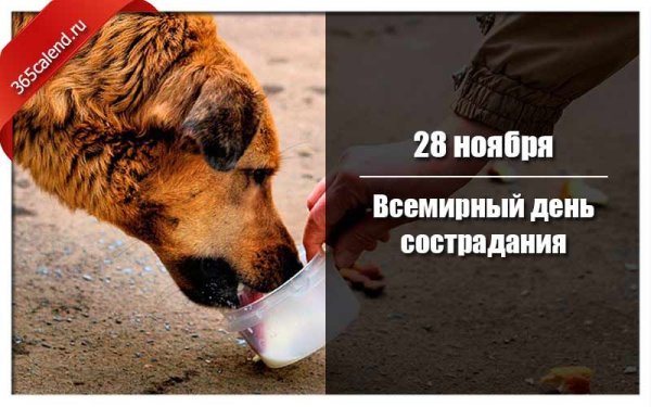 Всемирный день сострадания