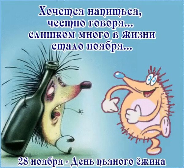 28 Ноября праздник день пьяного ежика