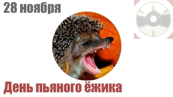 День пьяного ежика