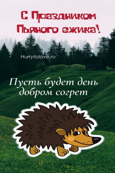День пьяного ежика
