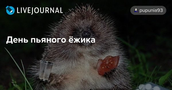 Праздник пьяного ежика