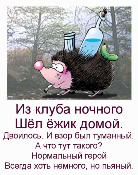 День пьяного ежика открытки