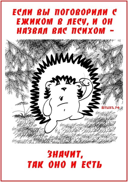 Шутки про ежика