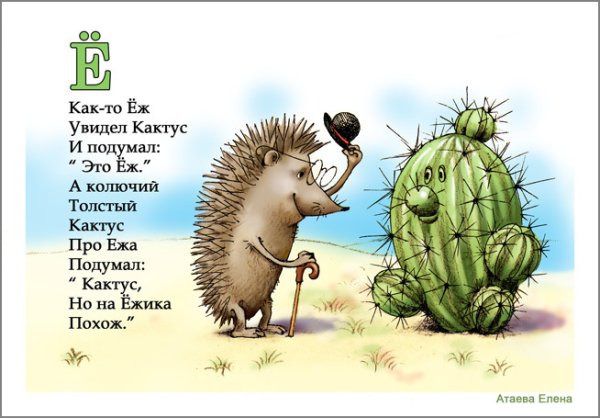 Ежик и Кактус
