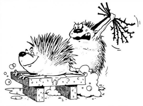 Карикатура на ежа