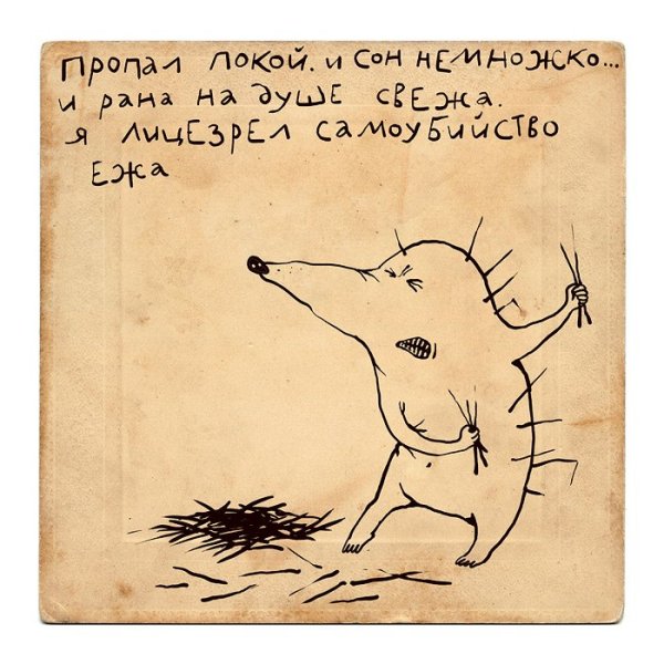 Шутки про ежика