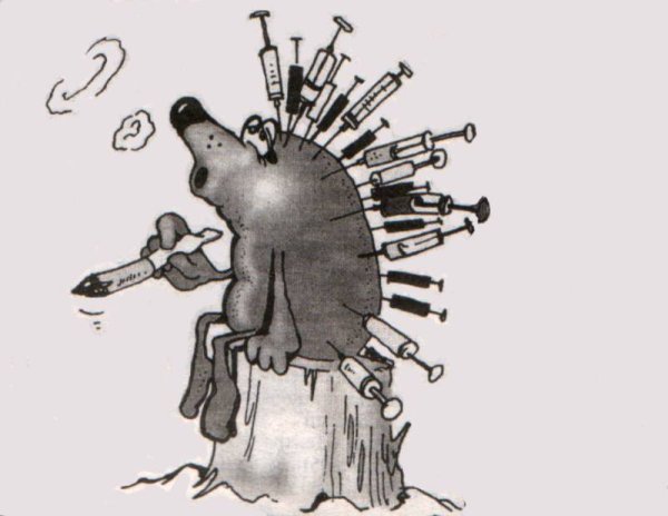 Карикатура на ежа