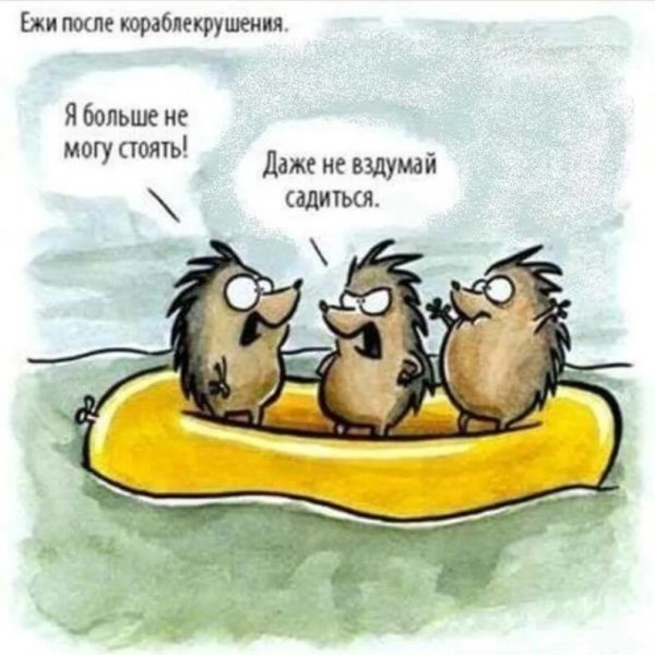 Анекдот про ежика