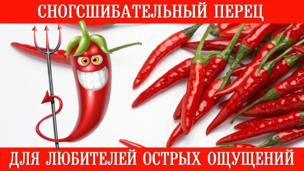 Острые ощущения