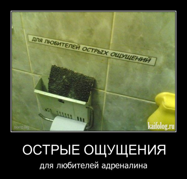Любитель острых ощущений