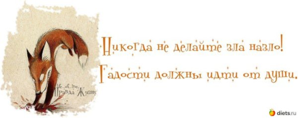 Фразы про острые ощущения