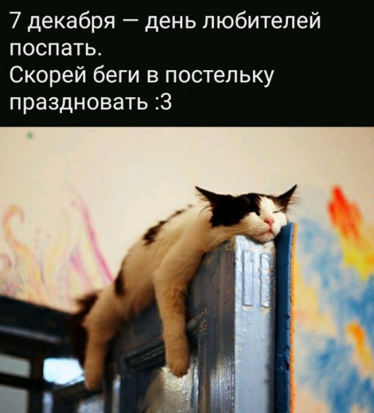 Смешные высказывания с добрым утром