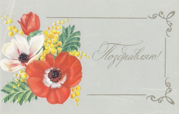 Образец открытки