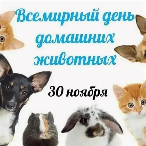 30 Ноября день домашних животных