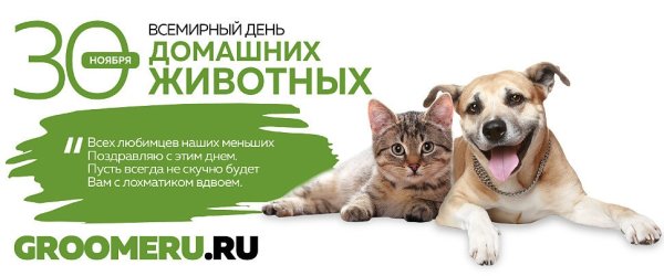 Домашних животных праздник Всемирный: