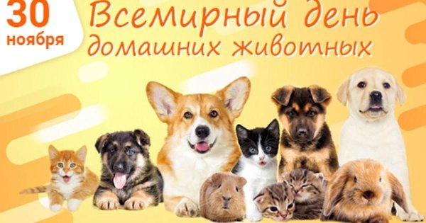 Всемирный день домашних животных