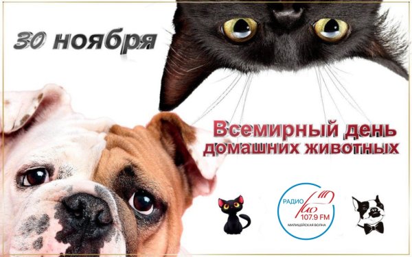 Всемирный день домашних животных