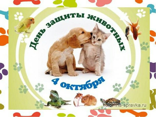 Международный день животных