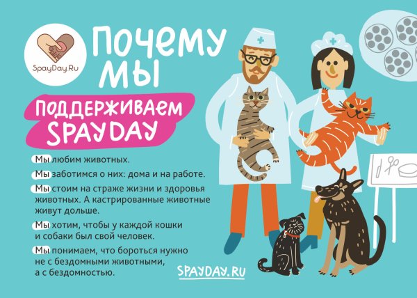 Всемирный день стерилизации домашних животных