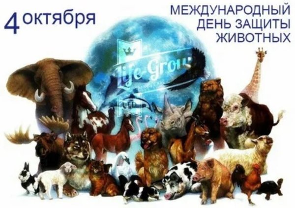 Международный день защиты животных