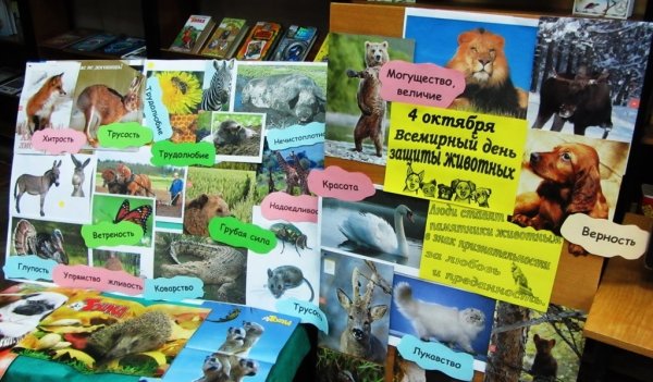 День животных в библиотеке