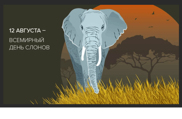 Всемирный день слона 12 августа