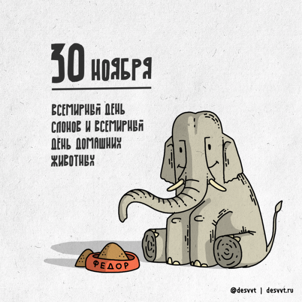Международный день слона