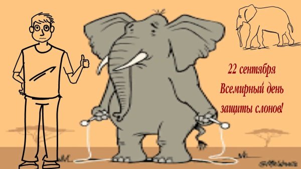 Всемирный день защиты слонов